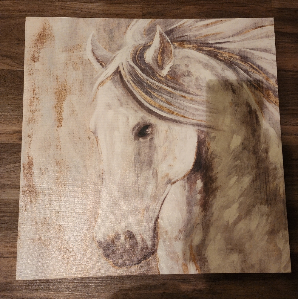Horse picture